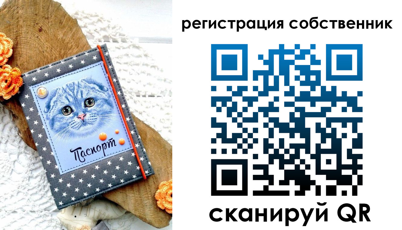 прописка для работы в Волосово